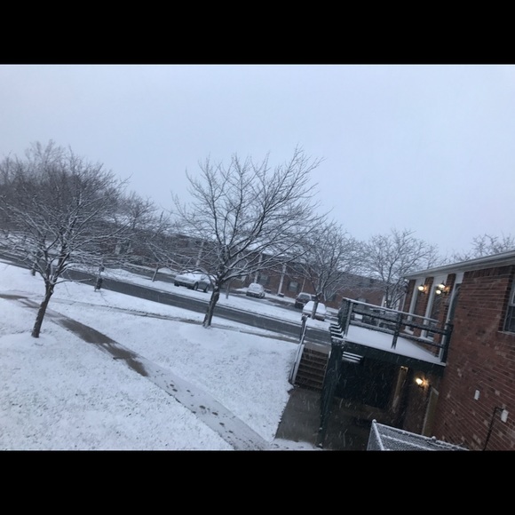 Meet your Posher, Jaser - Picture 1 of 1